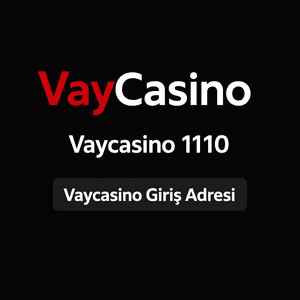 vaycasino1110