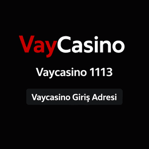 vaycasino1113
